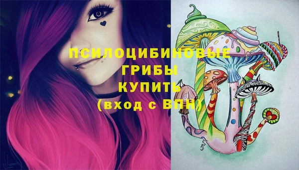 MDMA Premium VHQ Бронницы