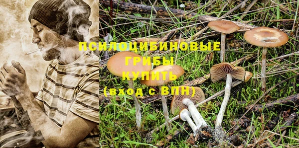 MDMA Premium VHQ Бронницы