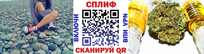 Бошки марихуана сатива  Купить закладки  Билибино 